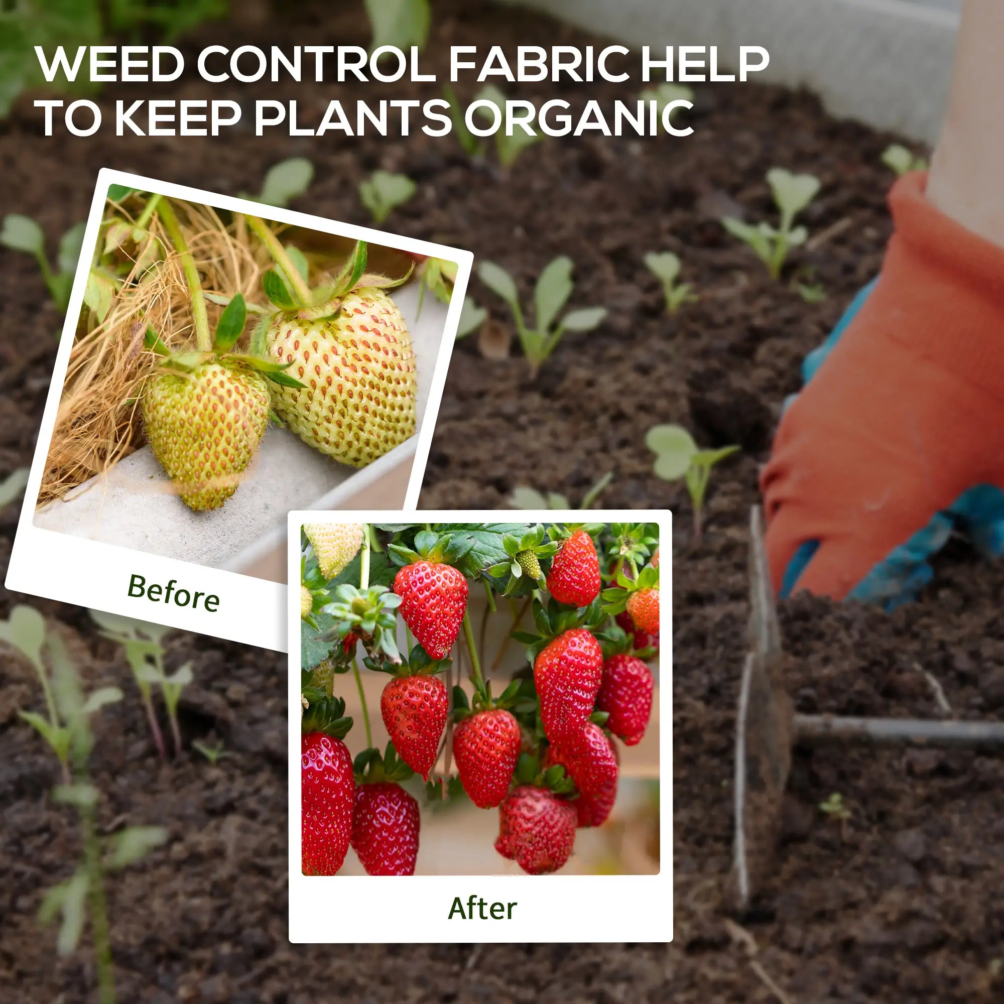 6.5ft x 164ft Weed Barrier, Landscape Fabric, Garden Weed Control, 4.6oz Weed Barrier Fabrics at Gallery Canada