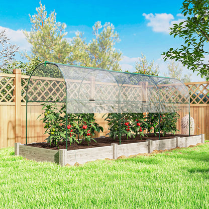 Tomato Greenhouse Tunnel, 4 Hoops, Top Tap, 157.5" x 48.4" x 67.3", Clear Tunnel Greenhouses at Gallery Canada