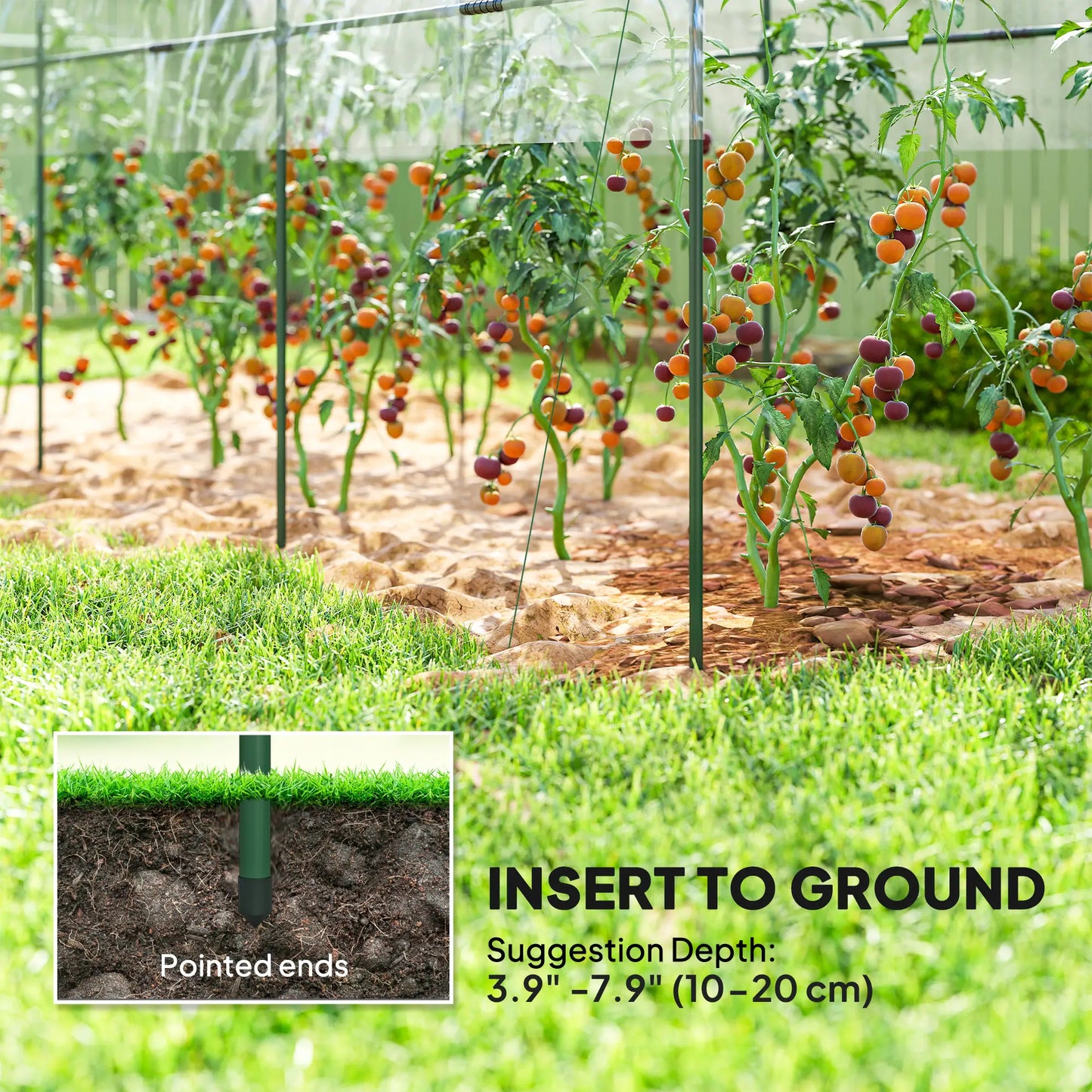 Tomato Greenhouse Tunnel, 4 Hoops, Top Tap, 157.5" x 48.4" x 67.3", Clear Tunnel Greenhouses at Gallery Canada