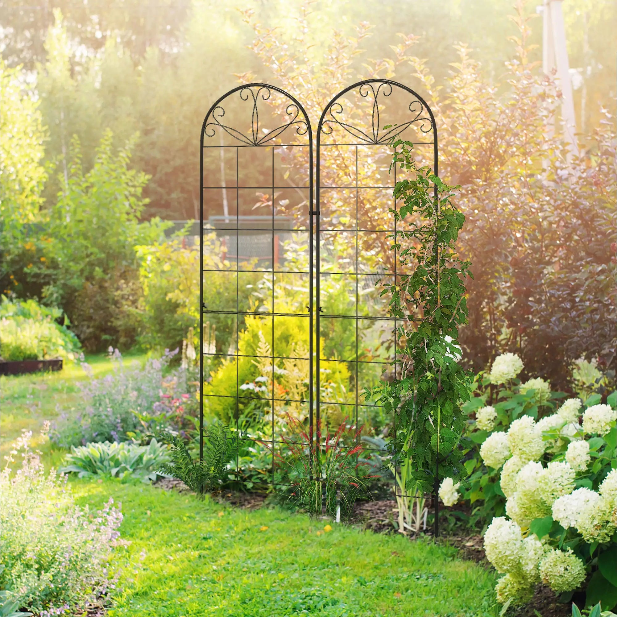 2 Pcs Metal Garden Trellis, Outdoor Plant Support for Climbing Plants Plant Stands Black at Gallery Canada