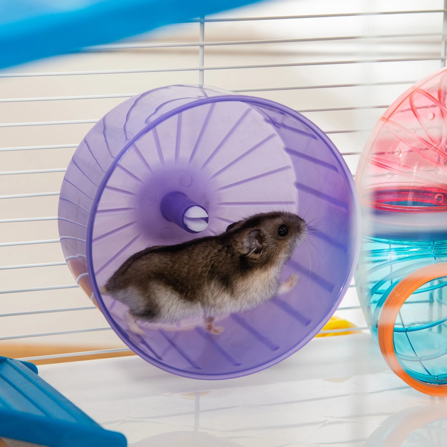31" Large Hamster Cage, Small Animal House, Tunnel Tube System, Black Hamster Cages at Gallery Canada