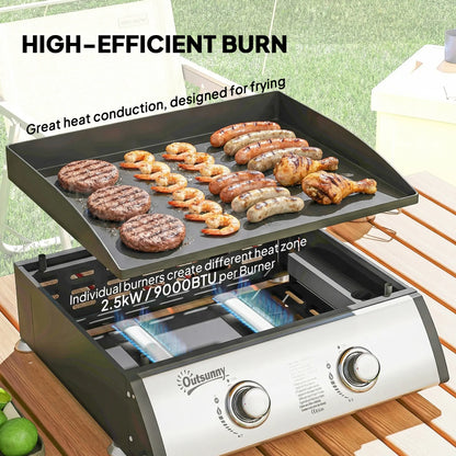 2 Burner Gas Grill, Portable Tabletop BBQ, Camping Picnic, Silver