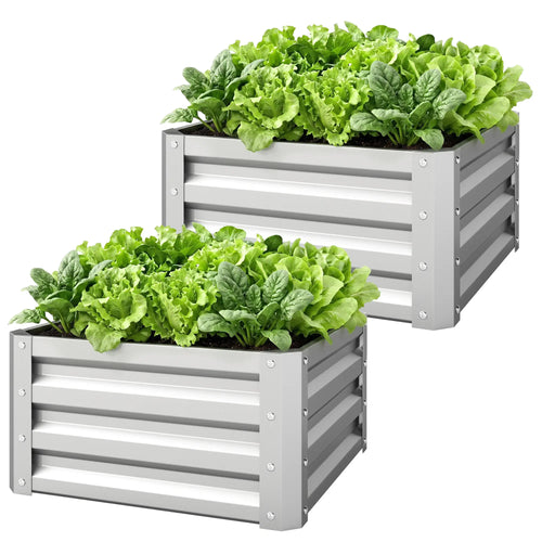 2' x 2' x 1' Raised Garden Bed, Galvanised Steel Frame, Vegetables, Flowers, Herbs, Silver