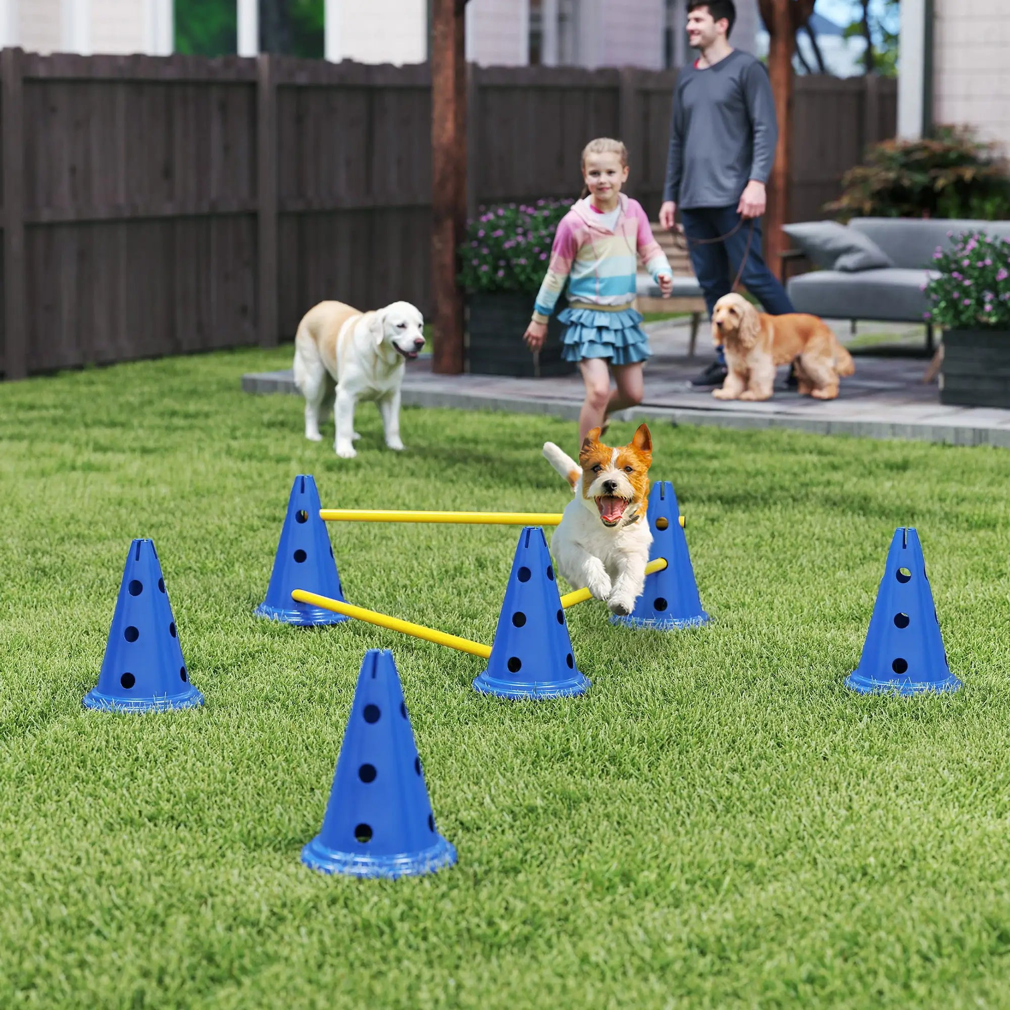 Dog Agility Hurdle Cone Set, Adjustable Obstacle Course, 6 Cones & Poles, Blue Dog Agility Training Equipment at Gallery Canada