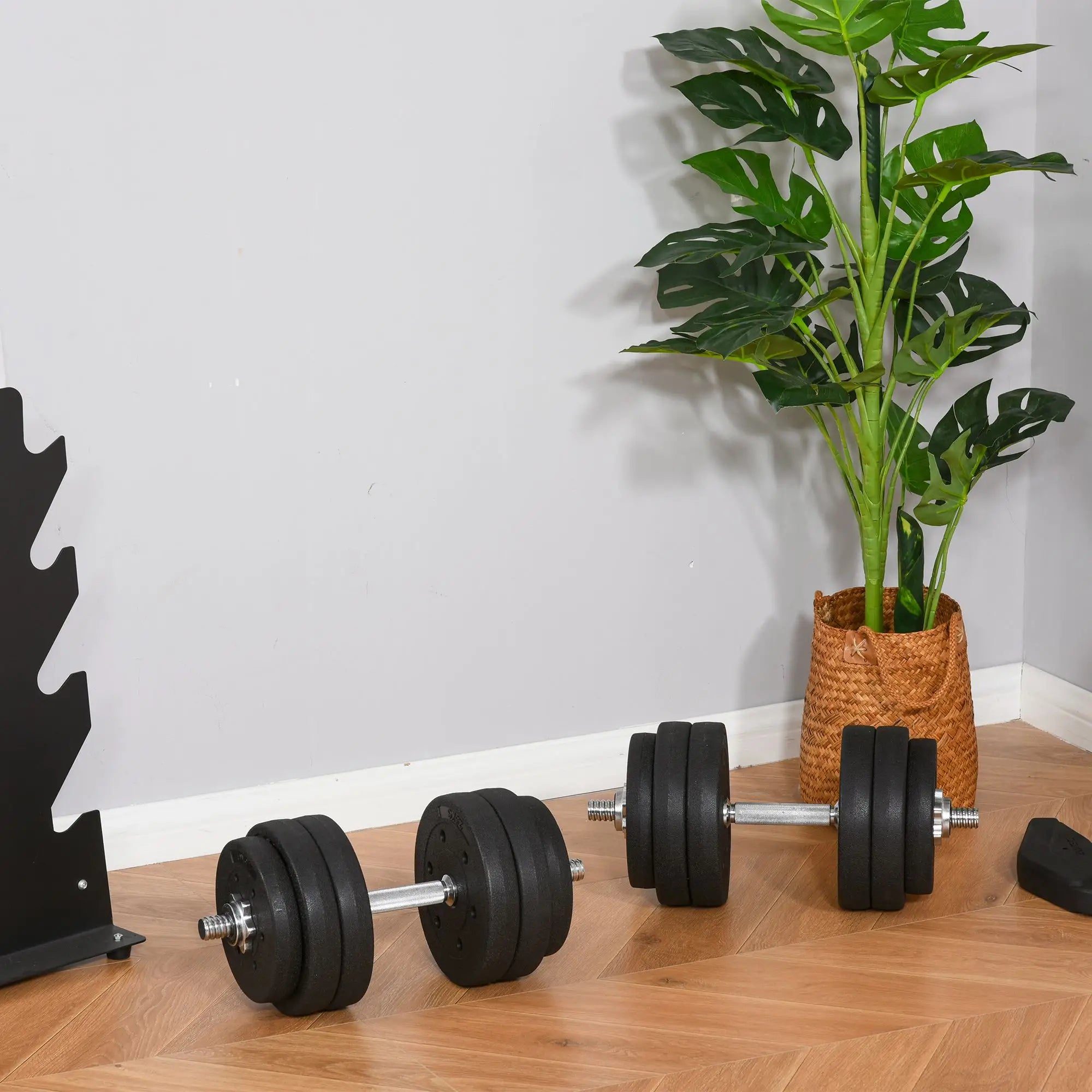 66 lbs Adjustable Dumbbell Set, Hand Weight Barbell, Black Dumbbells & Barbells at Gallery Canada