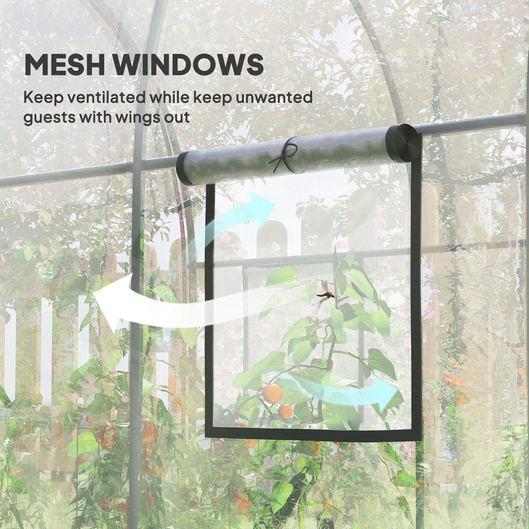Polytunnel Greenhouse, Roll-Up Door, Mesh Window, 3 x 2 x 2 m, Clear Tunnel Greenhouses at Gallery Canada