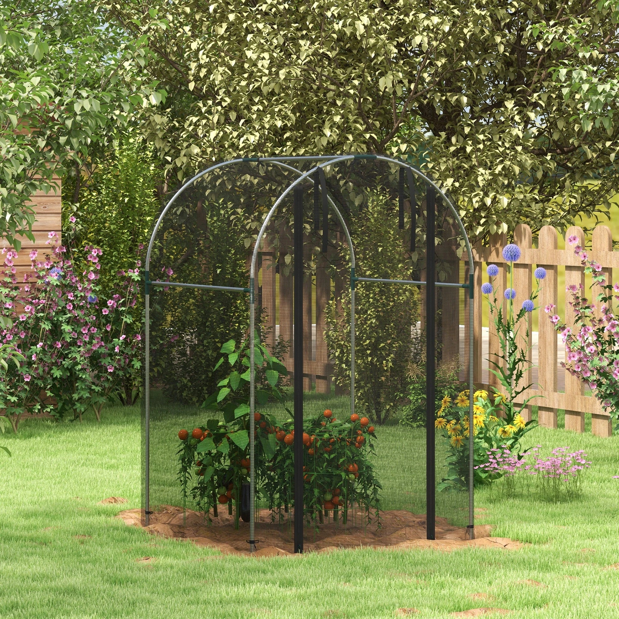 Galvanized Steel Crop Cage, Plant Protection Tent, 4' x 4', Black Walk In Greenhouses at Gallery Canada
