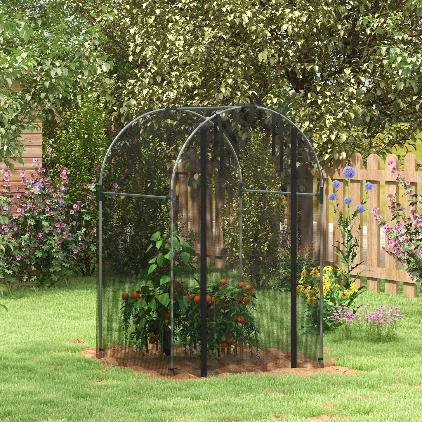 Galvanized Steel Crop Cage, Plant Protection Tent, 4' x 4', Black Walk In Greenhouses at Gallery Canada