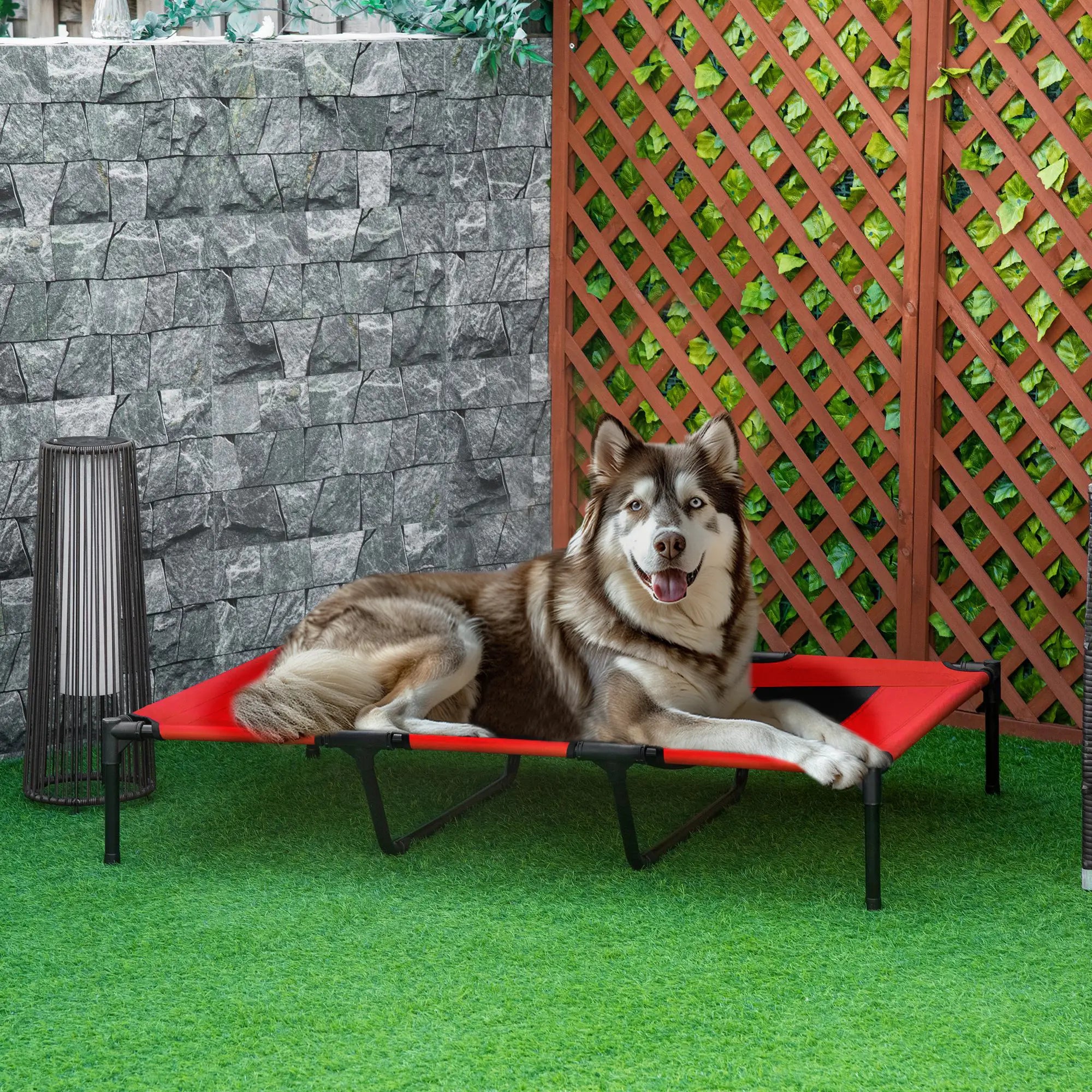 Elevated Dog Bed, Raised Dog Cot, XL 48
