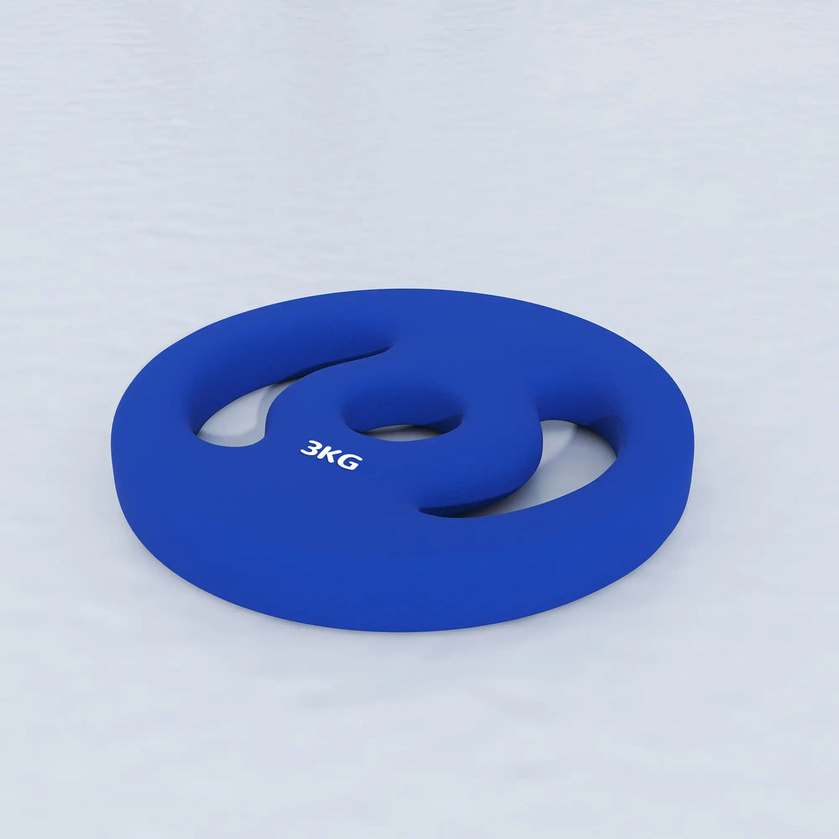 2 x 6.6lbs Weight Plates, 1" Holes, Easy-Grip Handles, Gym, Home Dumbbells & Barbells at Gallery Canada