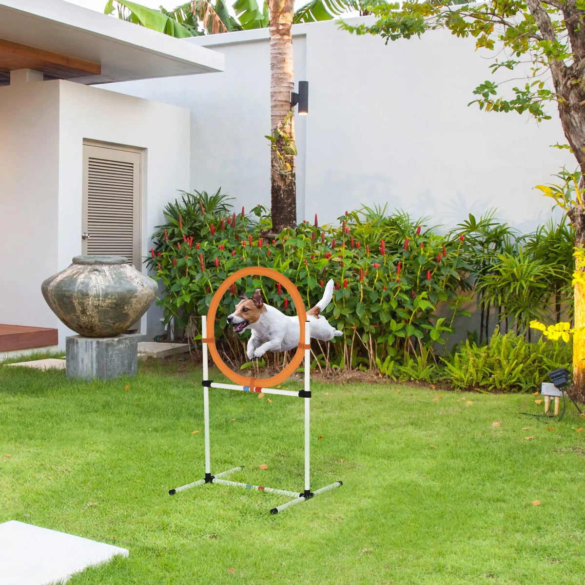 Dog Agility Training Equipment, Tire Jump Ring, Hurdle Bar, Easy Setup, Storage Bag Dog Agility Training Equipment at Gallery Canada