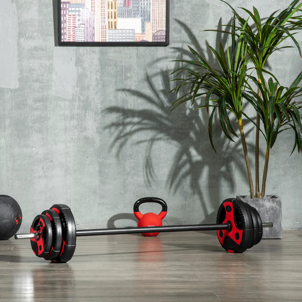 44lbs Adjustable Barbell Weight Set, Free Body Pump Bar, Black and Red Dumbbells & Barbells at Gallery Canada