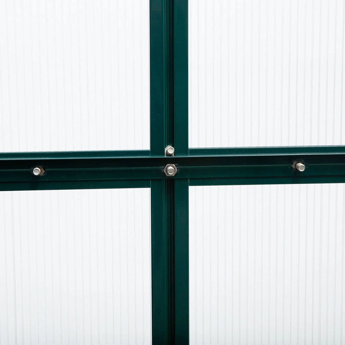 6' x 10' x 6.6' Polycarbonate Greenhouse, Walk-In Garden Kit, Green Walk In Greenhouses at Gallery Canada