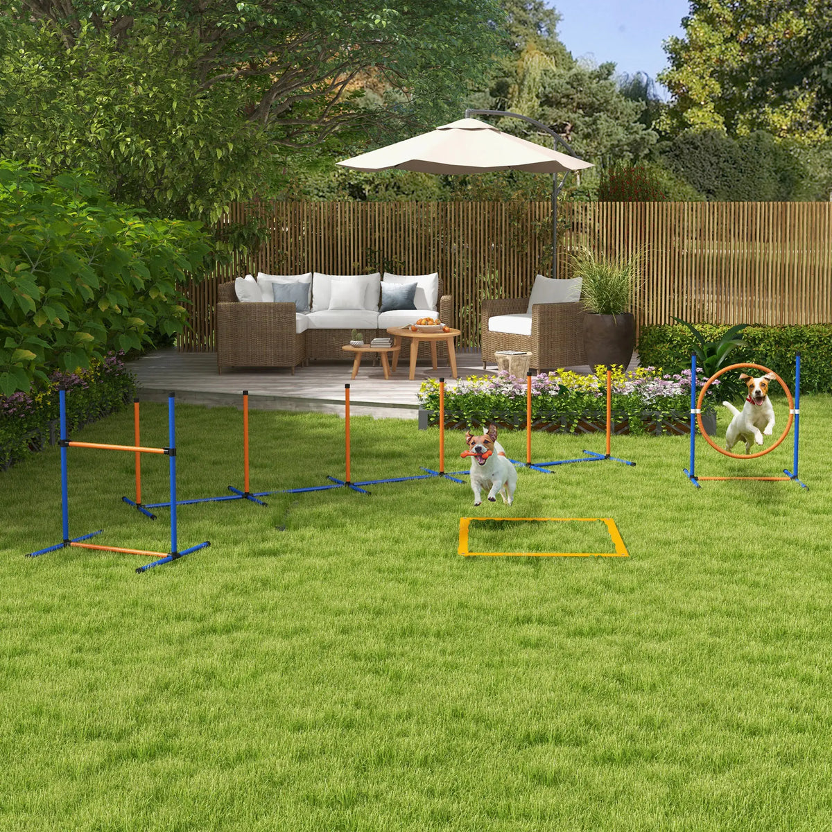Dog Agility Training Equipment, Weave Poles, Adjustable Hurdle, Jump Ring Dog Agility Training Equipment at Gallery Canada