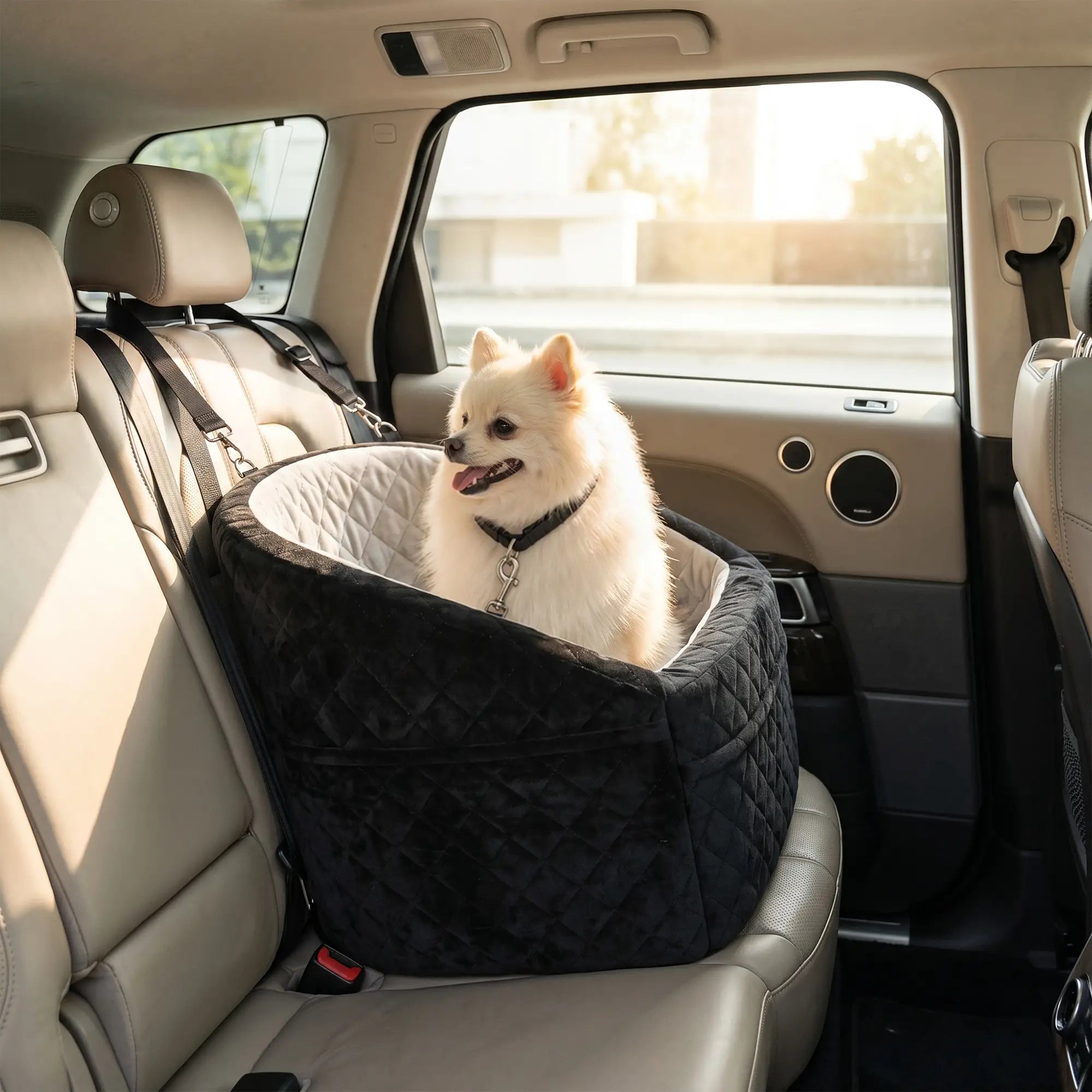 Dog Booster Car Seat Washable, Small Under 10kg, Grey Dog Bike Trailers & Strollers at Gallery Canada