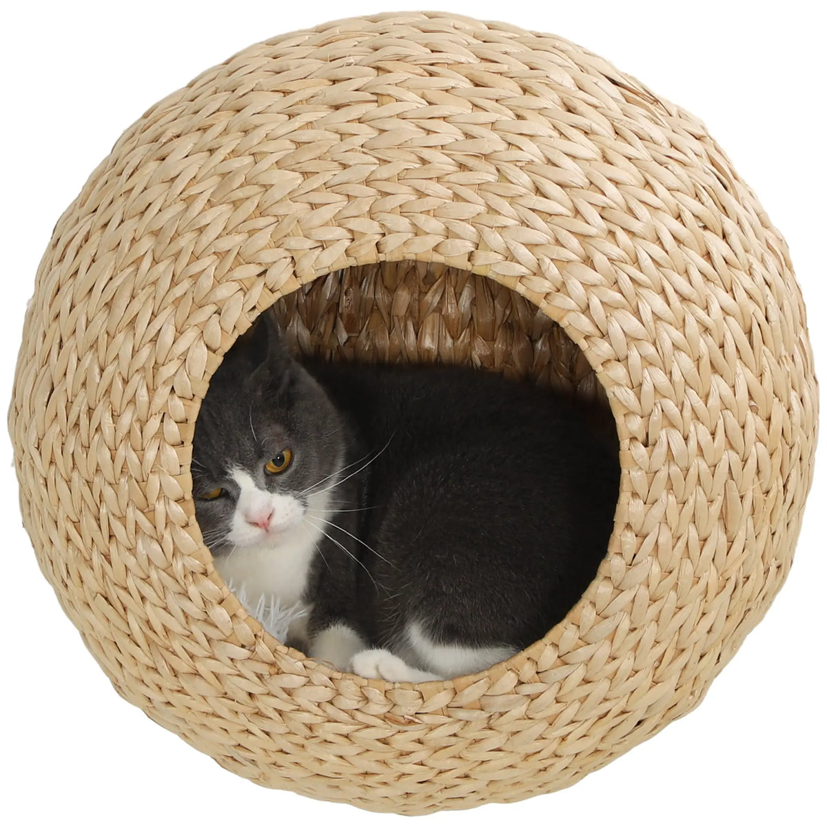 Cat Wall Shelf with Washable Cushion, Wall Mounted Cat Condo, Beige Cat Climbing Wall Beige, Cream White at Gallery Canada