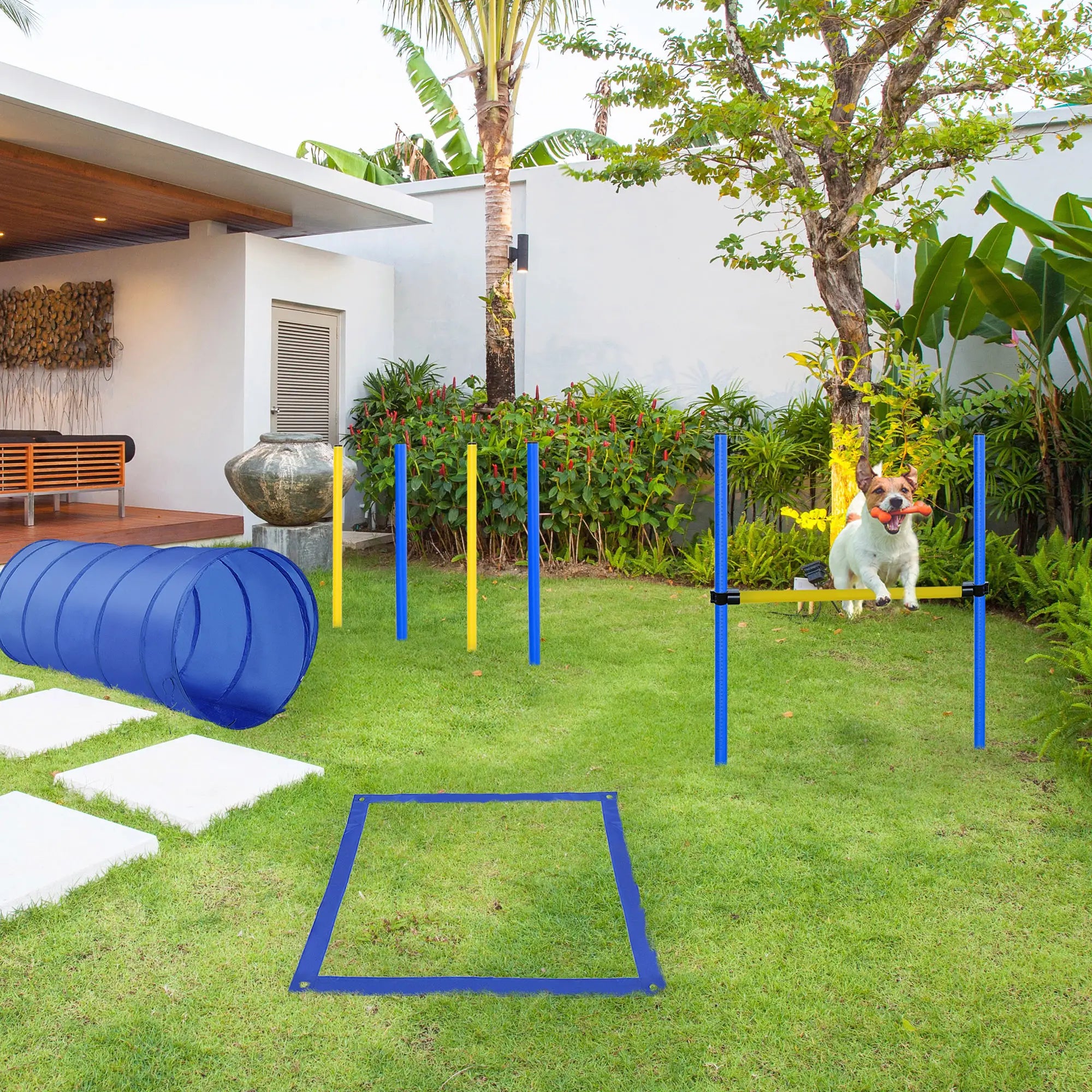 Dog Agility Starter Kit, Outdoor Training Set, Tunnel, 4 Weave Poles, High Jumper Dog Agility Training Equipment at Gallery Canada
