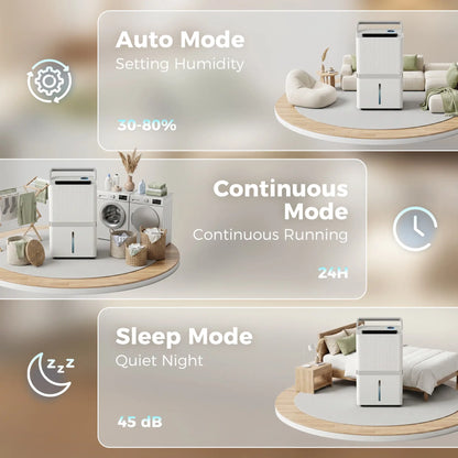 100 Pint Smart Dehumidifier, 5200 Sq Ft, WiFi, App Control Home Dehumidifiers at Gallery Canada