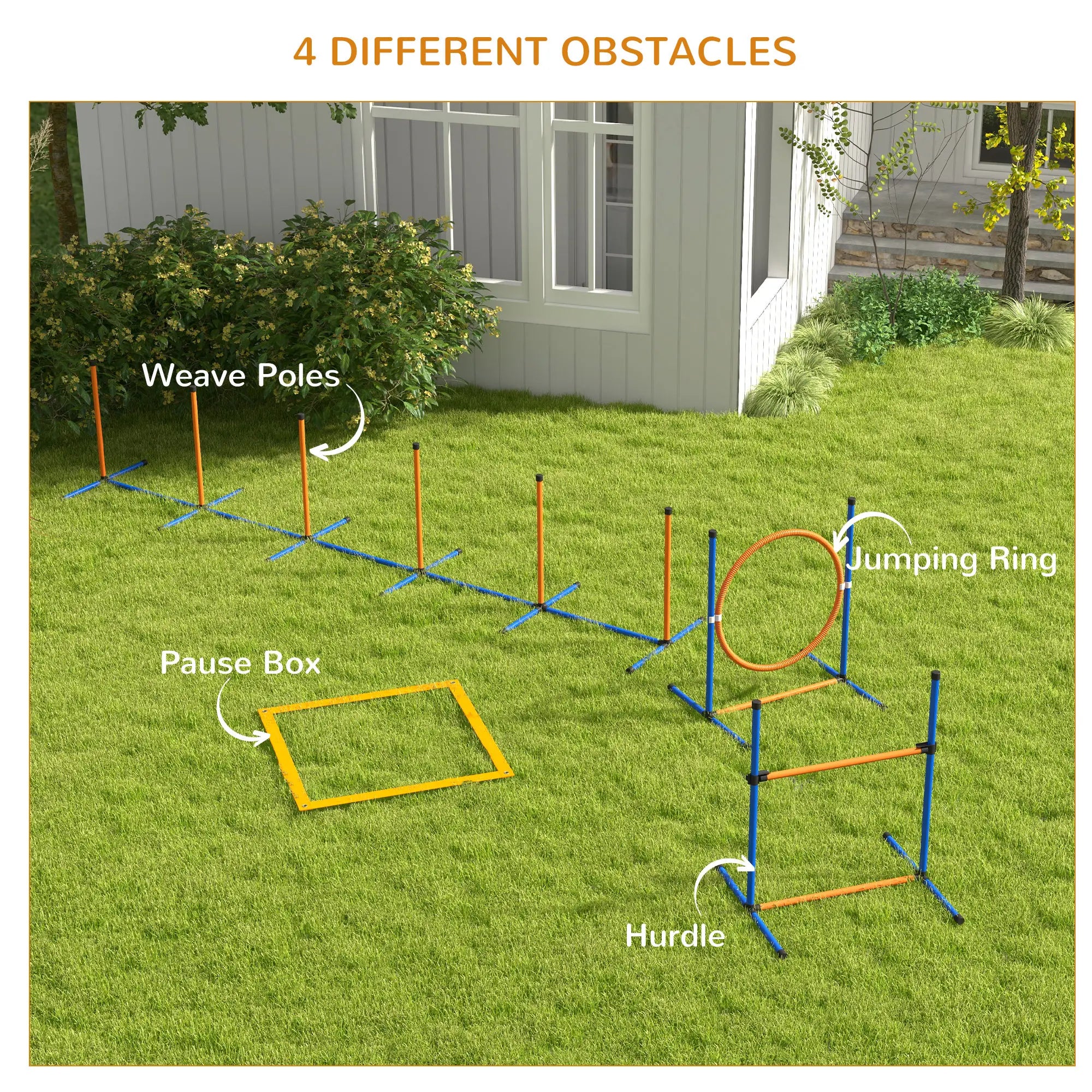 Dog Agility Training Equipment, Weave Poles, Adjustable Hurdle, Jump Ring Dog Agility Training Equipment at Gallery Canada