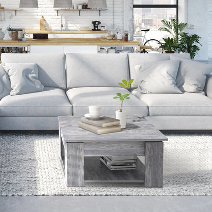 Modern Coffee Table with Storage, Square, Living Room, Grey Coffee Tables at Gallery Canada